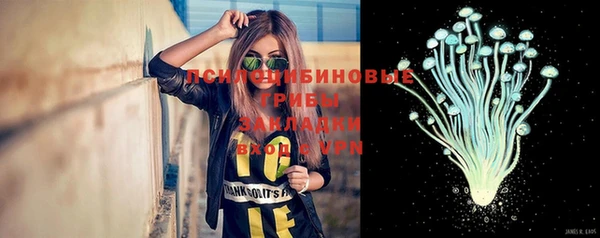 молекула духа Алексеевка