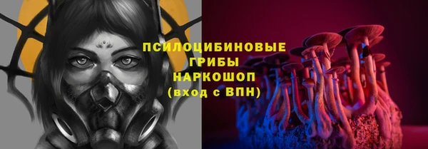 бошки Абаза