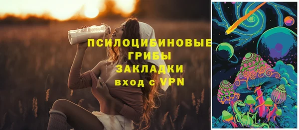 молекула духа Алексеевка